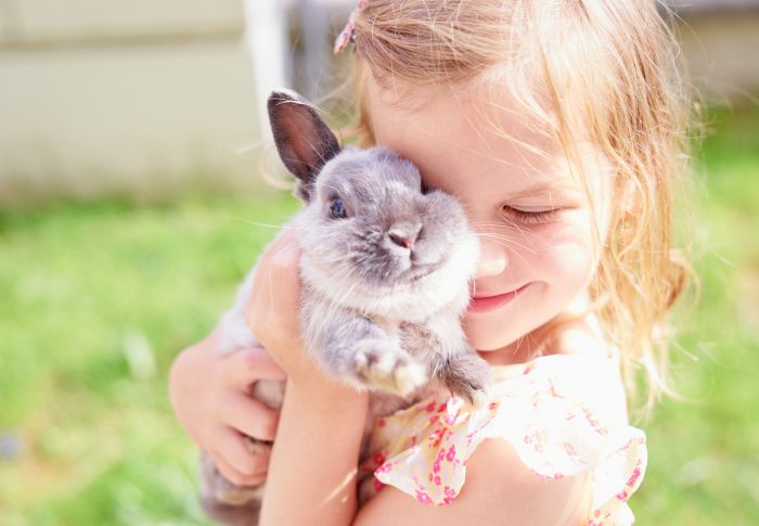 Don’t Be a Silly Wabbit:The Ultimate Guide to Owning a Pet Bunny