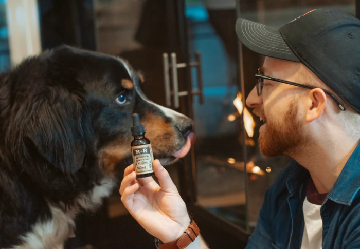 The Effectiveness Of CBD Oil For Pets