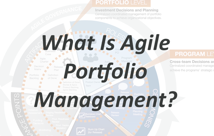 Why Is Agile Portfolio Management Important For Companies?